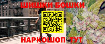 сатива Беслан