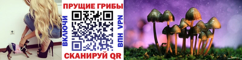 что такое наркотик  ссылка на мегу сайт  Псилоцибиновые грибы мицелий  Городец 