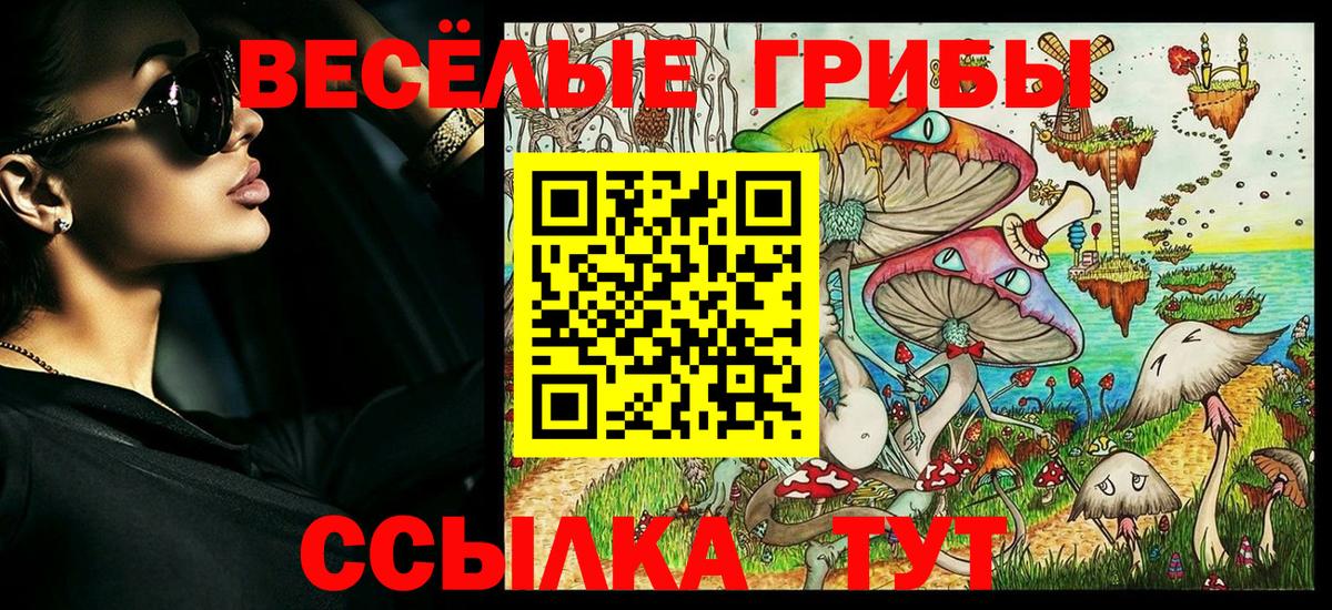 сколько стоит  Городец  Галлюциногенные грибы Magic Shrooms 